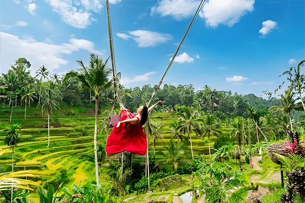 6 Days Best Package In Bali For Honeymoon Couple